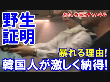 【韓国人が激しく納得】 機内で暴れる理由がついに判明！