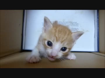 ここから出して～～