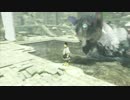 【人喰いの大鷲トリコ】鷲と少年の物語8
