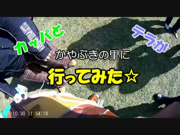 カレスとテラがかやぶきの里に行ってみた