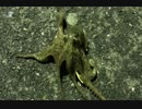 釣り動画ロマンを求めて　17釣目（ふれーゆ裏：夜釣り）