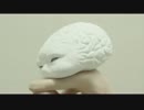 BSTV -楽しいだけじゃ、ものたりない-(30秒ver.)