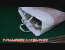猫様の一人遊びを観察してみた。