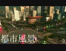 都市を望む風景＃５【Cities Skyline】