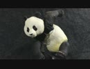 どうぶつ玩具奇想天外　ソフビトイボックス　パンダ