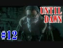 【冬も夜長ADV特集】3本目 おっさんの経験則に則ったUntil Dawn #12
