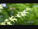 ピアノ小曲「神木（しんぼく）」 / 湘南黒猫サンズ