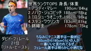【ゆっくり解説】ATPツアーを追いながら選手を紹介していく動画 part1