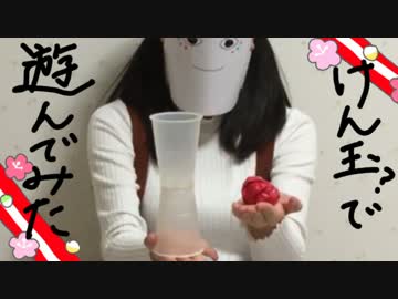 【2017】お正月なのでお正月のあそびしよう！