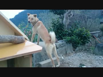 メイリオとご飯と冬支度