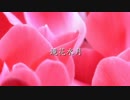 【Inst.】鏡花水月【オリジナル】