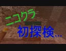 ニコクラPart3