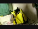 こんげつのたいじゅうそくてい【蒼民家の猫々】