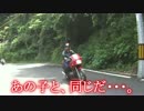 ゼルビスと行こう！　南紀ツーリング3日目　No,6.3