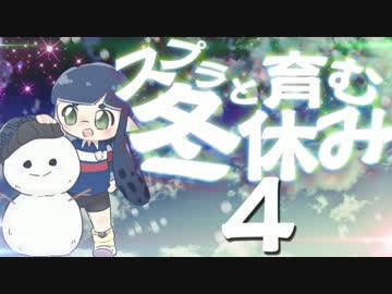 【スプラトゥーン】スプラと育む冬休み　4日目　あけおめローラー