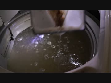 【完全版】過炭酸ナトリウム(酸素系漂白剤)_vs_13年洗っていない洗濯機