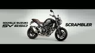 SUZUKI SV650 Scrambler