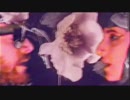 NO/NO - Red Flag (OFFICIAL VIDEO)