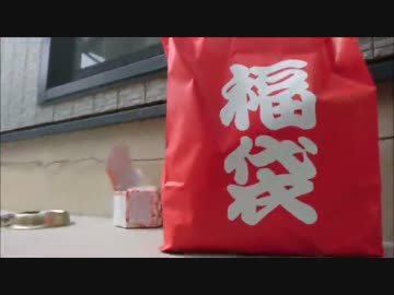 うちのナナ知りませんか？（４年と282日経過）～犬おせちと犬福袋～