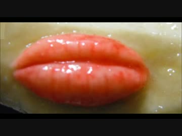 石原さとみの唇に魚肉ソーセージを与えてみた☆