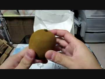 謎多き福袋を開封する(声あり)