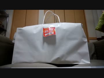 ２０１７年　ＰＶＣフィギュア福袋　開封動画