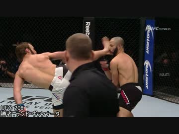 【格闘技】2016年12月度MMAベストノックアウト【KO】