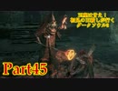 【実況】玉座は甘え！初見の王殺しが行くダークソウル3【DarkSoulsIII】part45