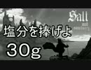 【ゆっくり】塩分を捧げよ 30g【Salt and Sanctuary】