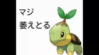 ナエトルが萎えとるなんて言わせなえとるｗｗｗ