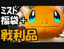 【2017年】ドーナツ20個が約束されたミスド福袋+4000円の戦利品
