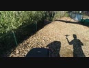 多摩動物公園脇の見晴らし台 HD