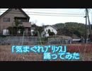 【気まぐれﾌﾟﾘﾝｽ生誕記念】気まぐれﾌﾟﾘﾝｽ【らんむらん】