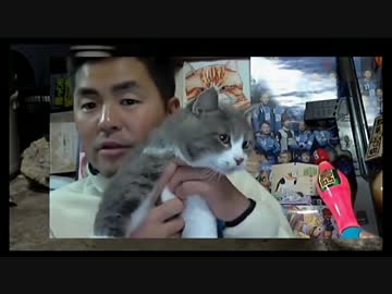 よるのら年賀状(2017.01.03)