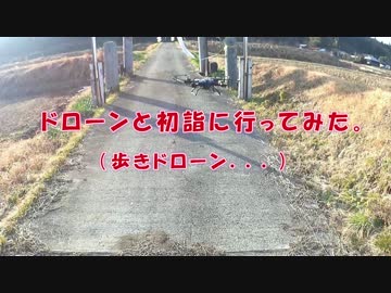 ドローンと初詣に行ってみた。【歩きドローン動画】