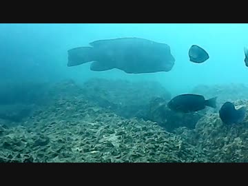 【アウトドア】ゆっくり釣りしないよ　part3