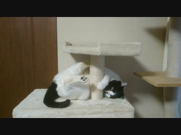 あらぶる