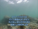 二つのスクリーンショットの作り方