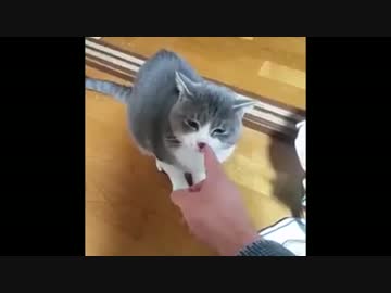 効かぬわ！？(2017.01.04)