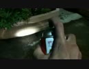 ゴキブリにKURE556を噴きかけてみたら動きが早くなった！？
