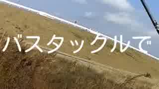 きたー、めっちゃ引くー