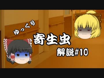 【ゆっくり解説】ゆっくり寄生虫解説＃10~トキソプラズマ~