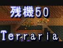【実況】 残機50でTerraria EXハードコア～part17
