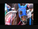 【ウイニングポスト8 2015】女馬主と早世馬の新世界【実況プレイ】228