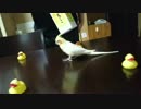 鬼教官再び