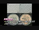 国立極地研究所 南極の土壌から２種の新種の菌類発見