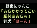 野良にゃんこ「おらかかってこい紐付きおらｗ」　 猟犬「ほーん」【2ch】