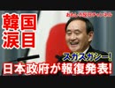【韓国が震えた】 日本政府が報復発表！スガスガシイとはこのことだ！