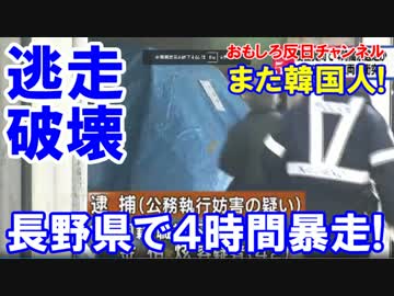 【韓国籍の男が４時間暴走】 バスを叩き！パトカー衝突！公務執行妨害！