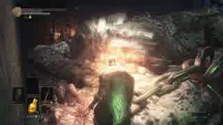 【初見実況】関西弁丸出しのDARK SOULS Ⅲ【Pt.29】